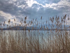 62756a2b-ee1d-47e2-9175-d98d157dd46d